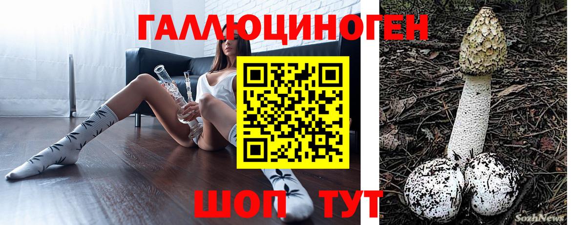 Галлюциногенные грибы прущие грибы  Вход с VPN  Солнечногорск  что такое   Галлюциногенные грибы Magic Shrooms 